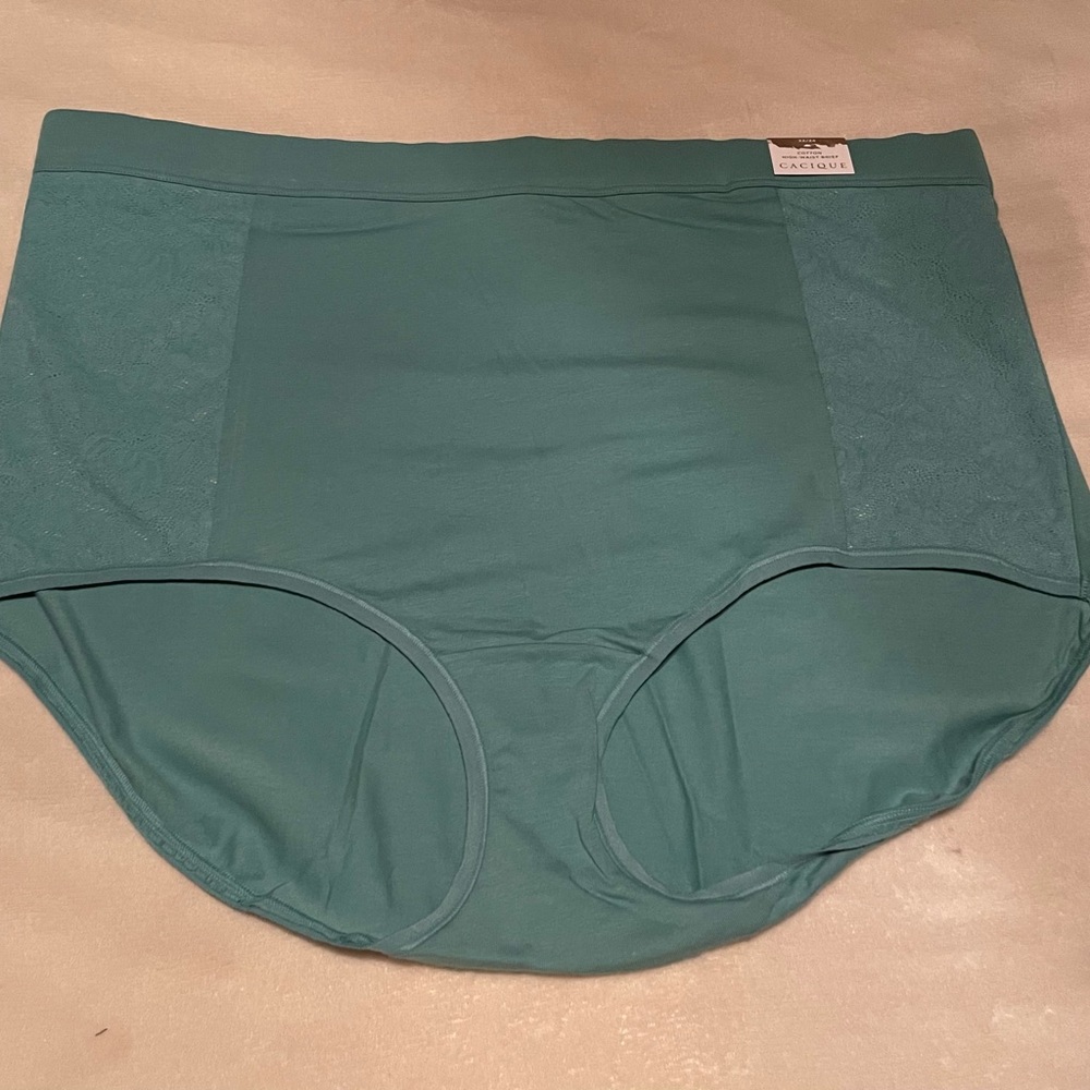 Lane Bryant Cacique